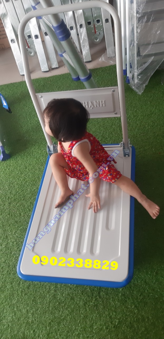 xe đẩy hàng phong thạnh XTB 100DG HCM