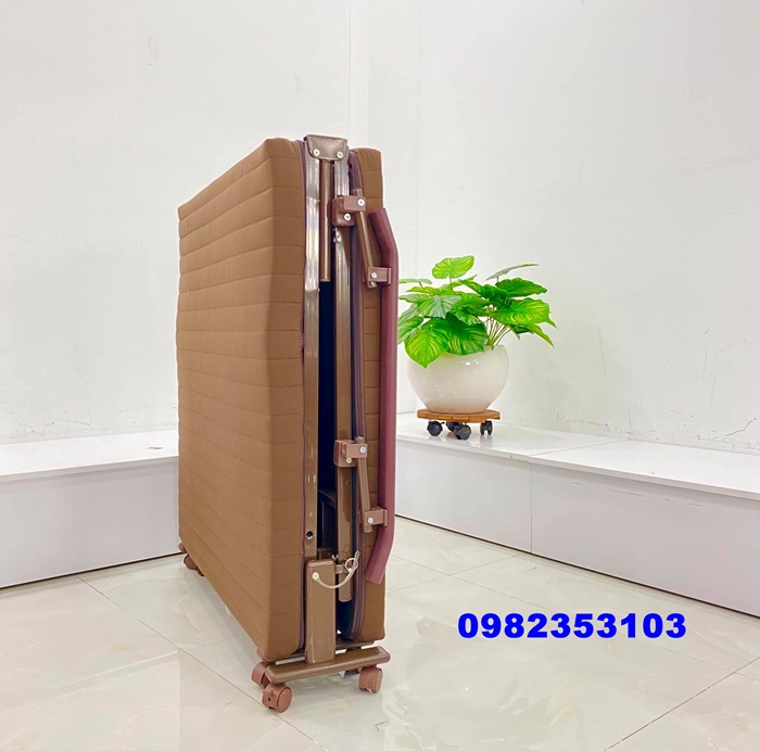 Giường Gấp Hàn Quốc CC100